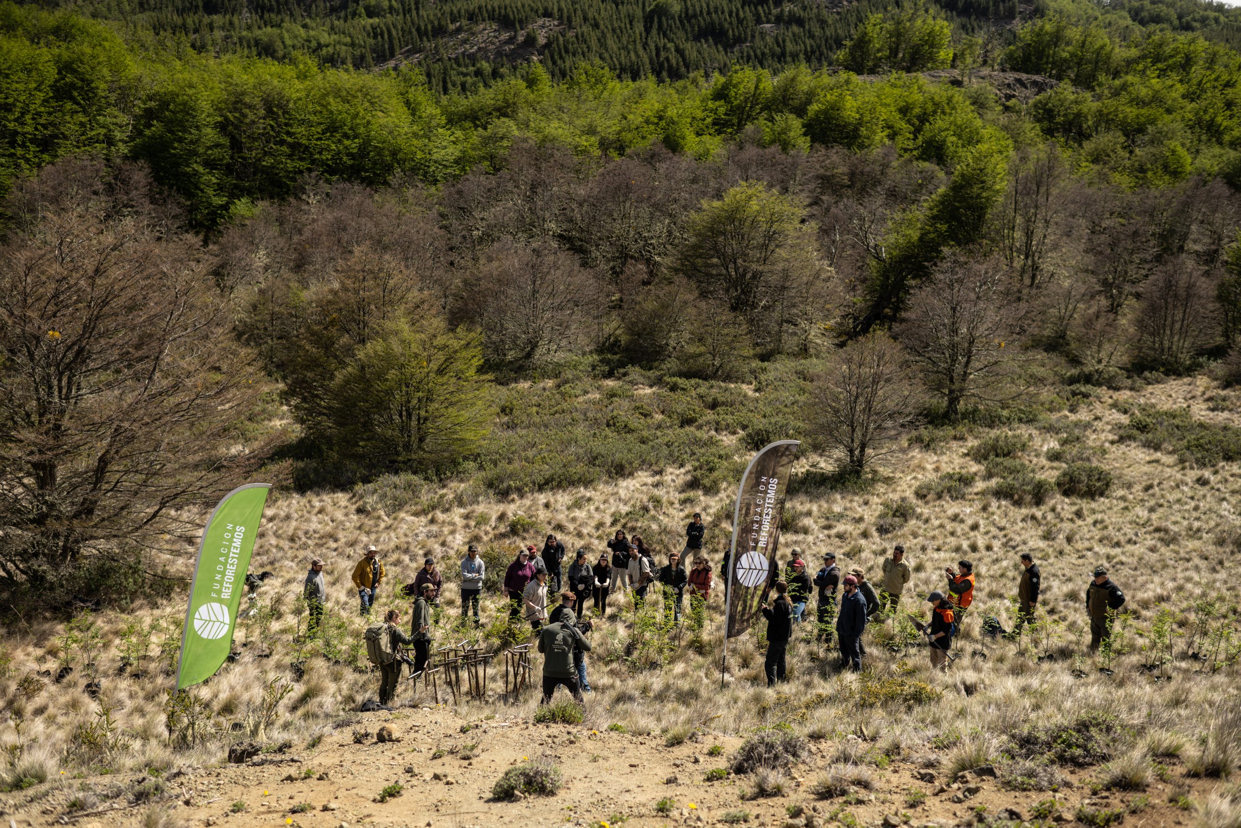 Alianza DL y Fundación Reforestemos: cuando el aprendizaje deja huellas